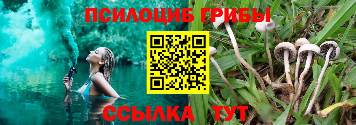 Саранск  Псилоцибиновые грибы MAGIC MUSHROOMS  Вход с VPN 